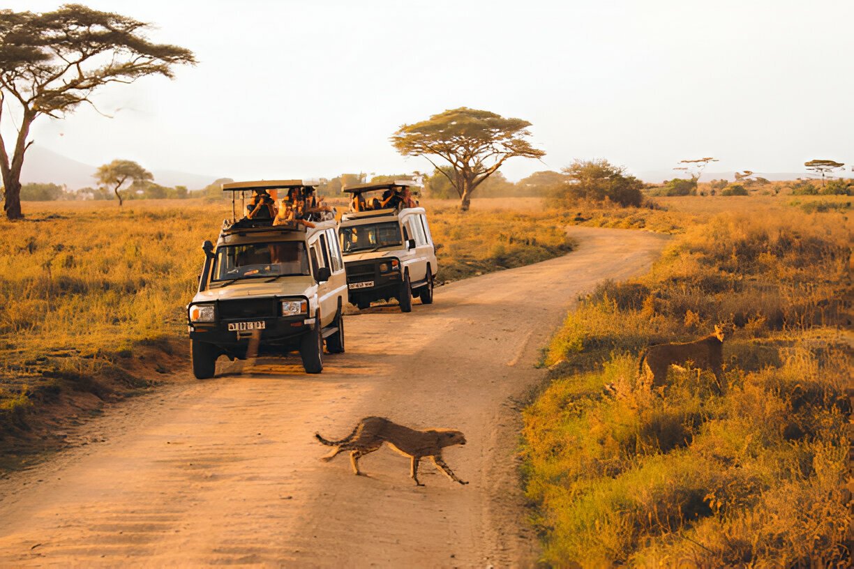 Tarangire